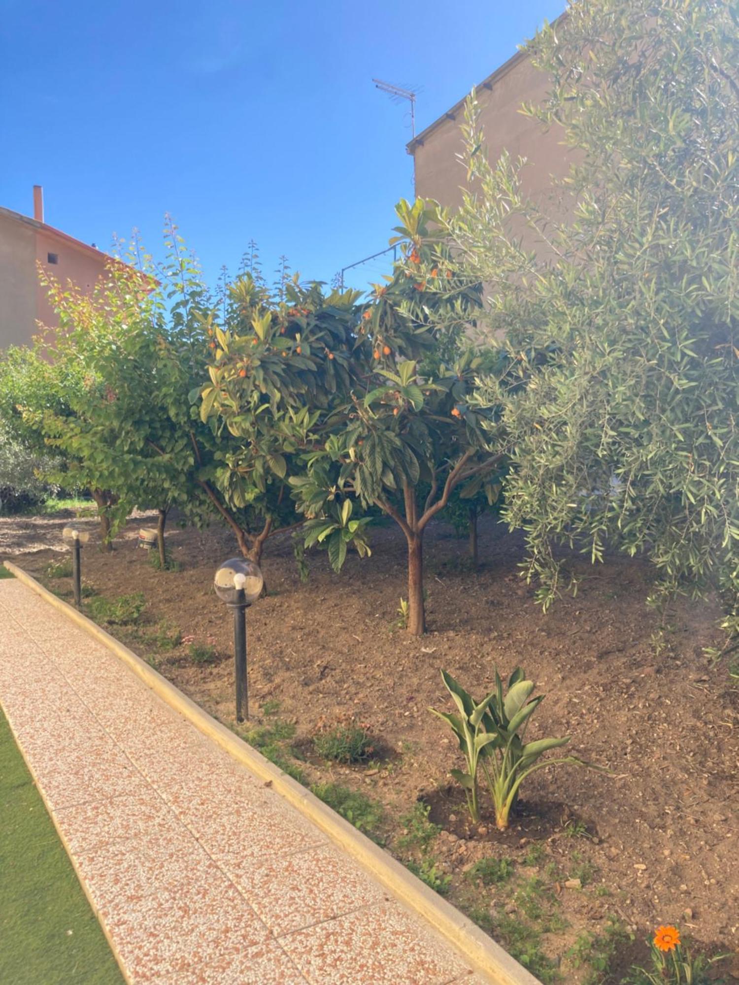 Casa Vacanze Il Giardino Villamassargia Extérieur photo